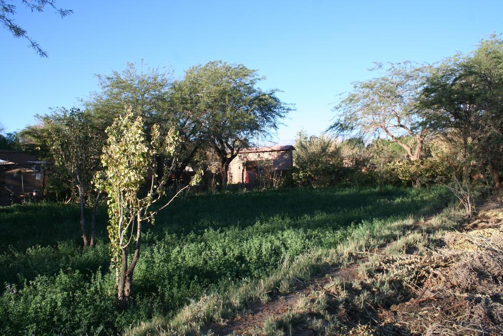 سان بيدرو دي أتاكاما Quinta Adela Bed & Breakfast المظهر الخارجي الصورة