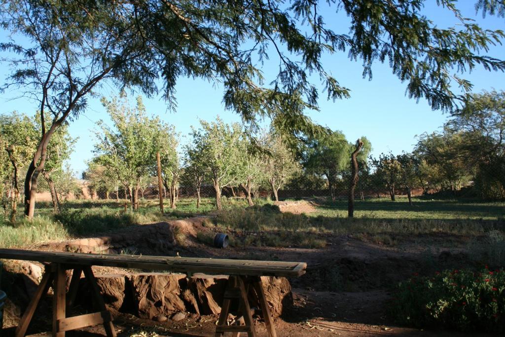 سان بيدرو دي أتاكاما Quinta Adela Bed & Breakfast المظهر الخارجي الصورة