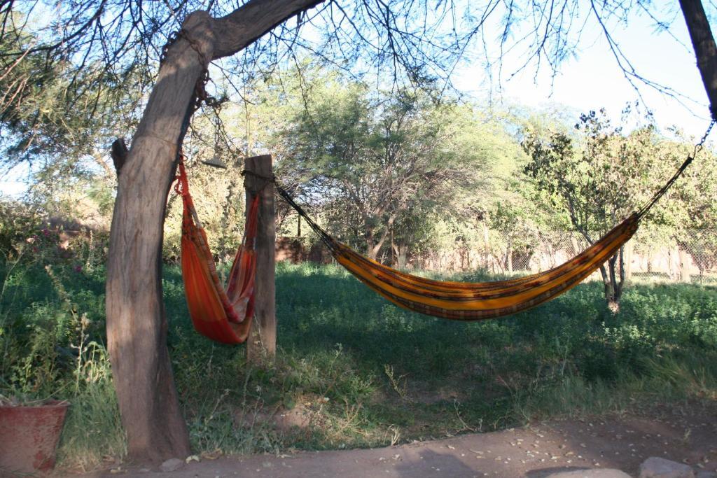 سان بيدرو دي أتاكاما Quinta Adela Bed & Breakfast المظهر الخارجي الصورة